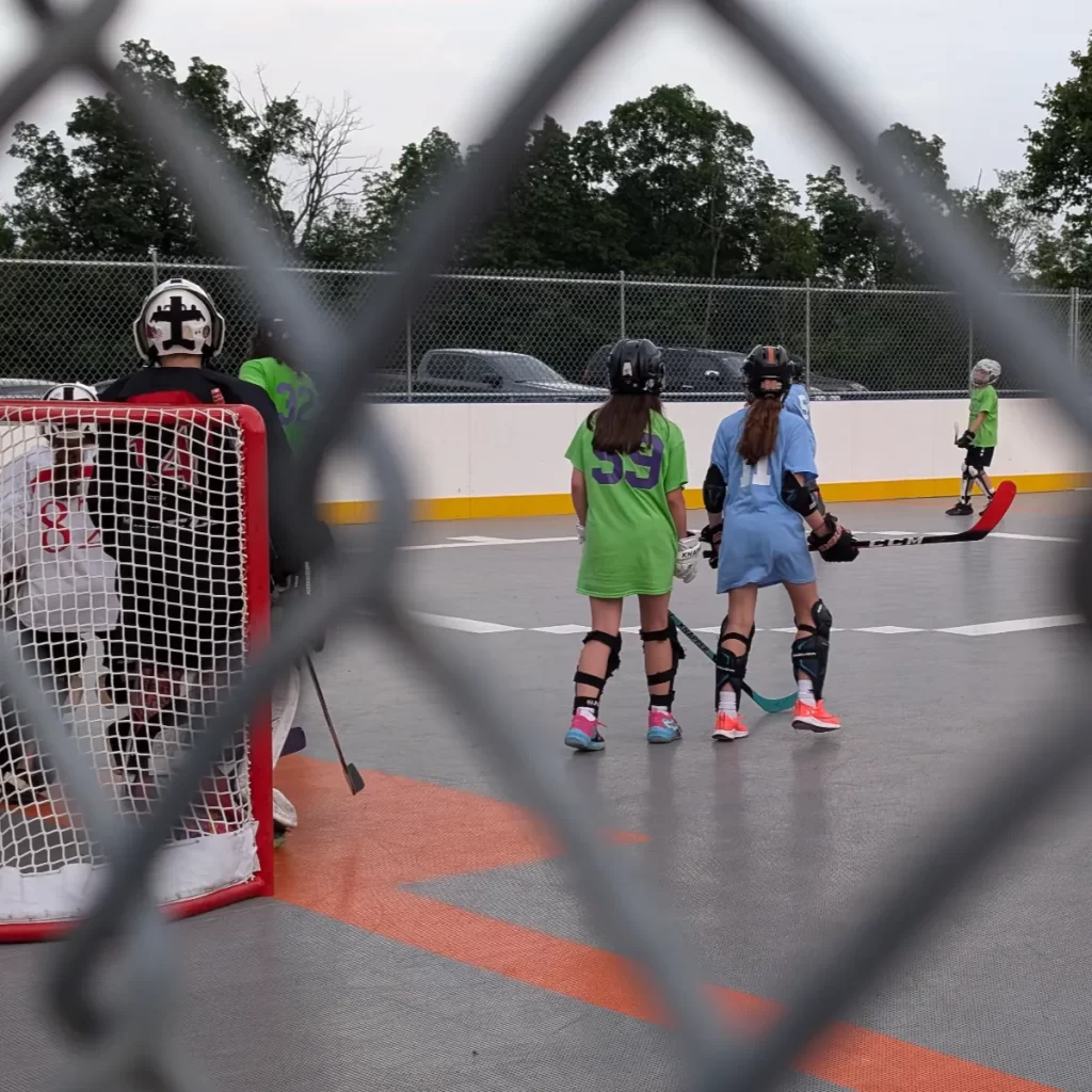 Girls ball hockey players ready for the challenge on the rink